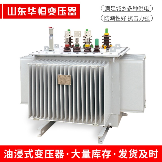 S13-10000/35陇西陇西陇西电力变压器